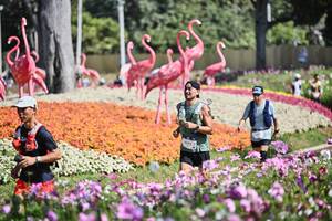 BIB: 
                            <button type="button" onclick="openModal(27794311)" class="btn btn-primary btn-sm float-right btn-popup" data-toggle="modal" data-target=".modal-high-quality">
                        <i class="fas fa-shopping-cart"></i> Add to Cart
                    </button>
                                            <button type="button" onclick="isThisMe(27794311, true)" class="btn btn-success btn-sm float-right btn-popup btn-isme hidden" data-toggle="tooltip" data-placement="bottom" title="นี่คือรูปของคุณใช่ไหม คลิกที่นี่เพื่อเอาเข้าอัลบั้ม">
                        <i class="fas fa-plus"></i> Add to album
                    </button>
                    <button type="button" onclick="isThisMe(27794311, false)" class="btn btn-warning btn-sm float-right btn-popup btn-isnotme hidden">
                        <i class="fas fa-ban"></i> Remove from album
                    </button>